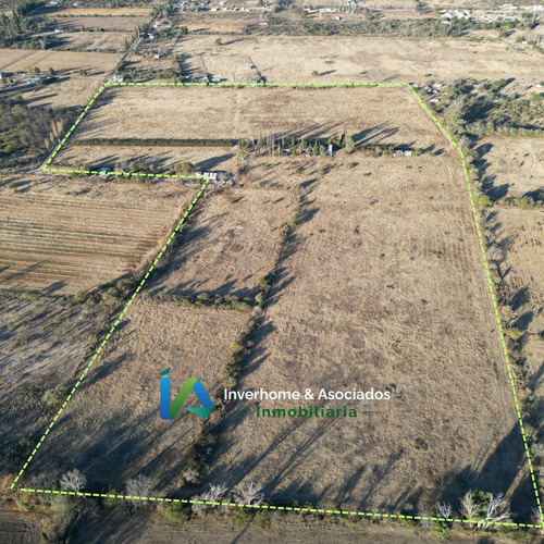 Campo En San Pedro