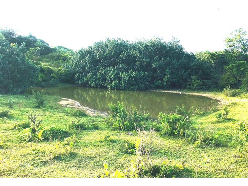 Terreno En Venta Las Terrenas / Las Guázaras