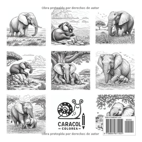 Elefantes Para Colorear: Libro Con 50 Dibujos De Elefantes P