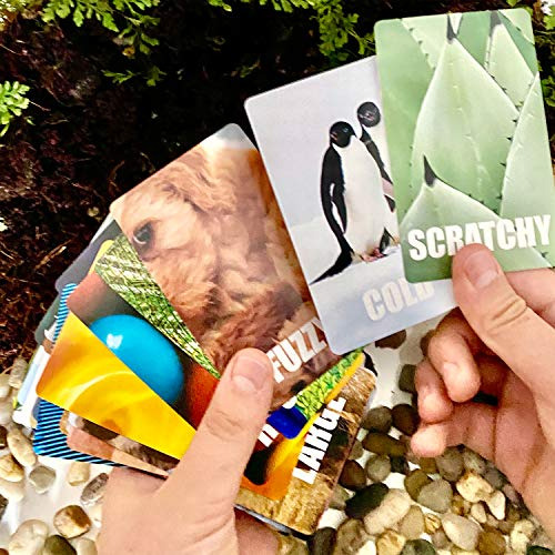 Hapinest Find And Seek Scavenger Hunt Juego De Cartas De Int