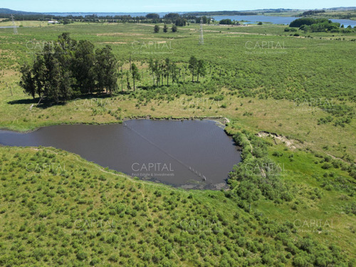Espectacular Campo De 124 Has . Laguna Del Sauce