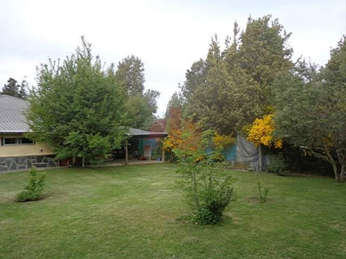 Imagen 5 de 11 de Casa - Pájaro Azul