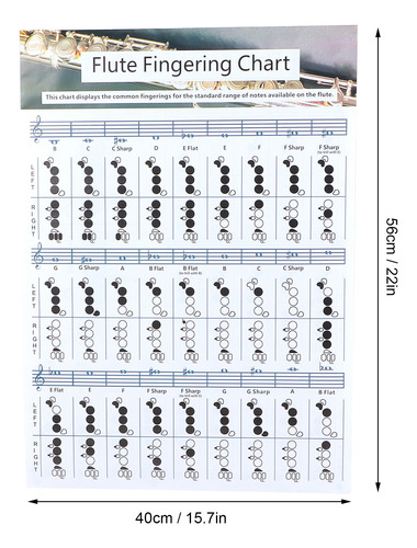 Tabla De Práctica De Digitación De Flauta (56 X 40 Cm), Acor