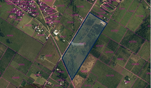 Terreno Melilla Venta Camino De Los Orientales 132.125m2 Proximo Uam Autorizado Para Cannabis