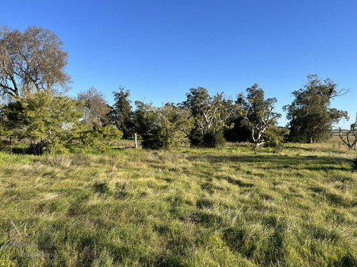 Excelente Campo De 102 Has Ganadero Con Casas Y Galpón