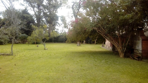 Imagen 12 de 14 de Casa Quinta Amplio Terreno