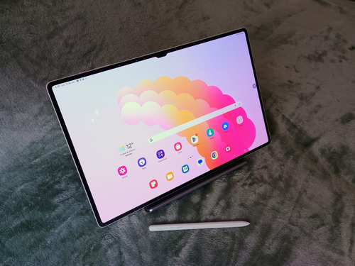 Galaxy Tab S9 Ultra 256gb Gris 12gb Ram Gris (Usado)