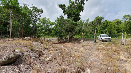 Terreno En Playa Del Carmen Titulado Con 10 Hectareas A Un Lado De Parque Xenotes.