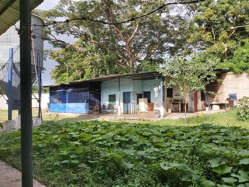 Imagen 4 de 11 de Precio Oportunidad Granja Aves Carlos Arvelo - Anggi Zerpa