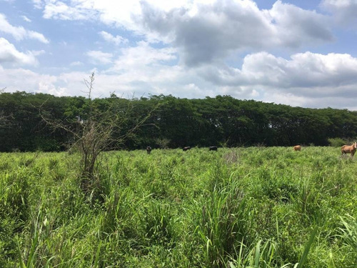 Imagen 23 de 30 de 33 Has Cerca De Altozano El Nuevo Colima
