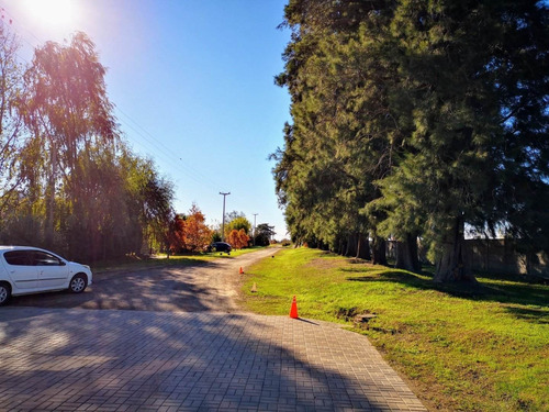 Terrenos De 517 M2 En Barrio Las Casuarinas - Lote Financiado