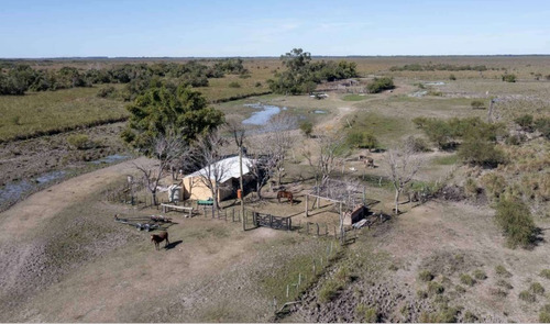 Imagen 16 de 18 de Campo - 1067 Has - Lomas De Vallejos - Corrientes