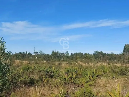 Hermosa Parcela En Condominio Parque Austral