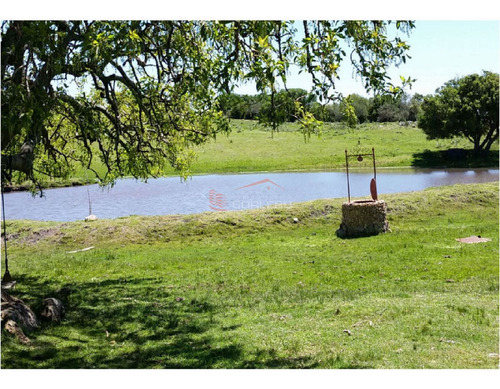 Imagen 3 de 21 de Campo En Uruguay, Aiguá, Ruta 13