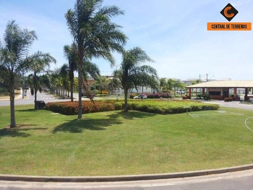 Imagem 5 de 15 de Lote No Alphaville Litoral Norte I - Te00395 - 68970626