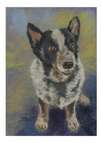 Cuadro Retrato Personalizado De Tu Mascota