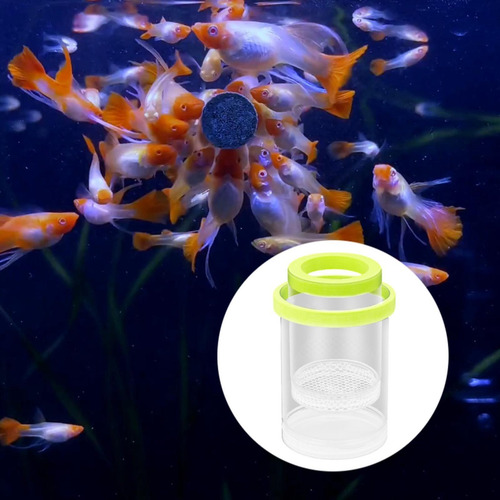 Caja De Aislamiento De Peces Flotantes Aquarium Feater Verde