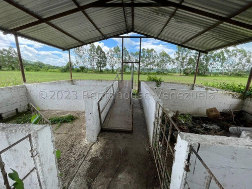 Carlos Colmenarez Felx 23-33543 Vende Finca Con 10 Hectareas Y 4.642 Mts Pozo Profundo De 80 Metros, Bomba De 14 Hp Luz Trifasica Laguna De 50 Por 40 Metros Cochinera De 30 Corrales