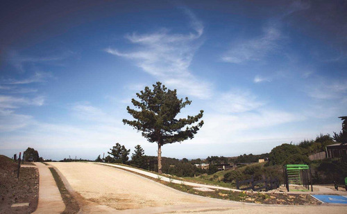 Pichilemu /punta De Lobos (74859)