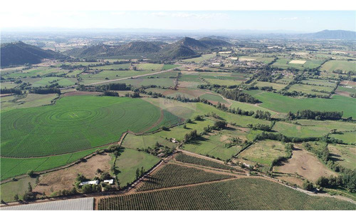 Fundo El Paso. Gran Suelo Agrícola De 128 Ha.