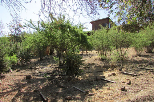 Imagen 5 de 15 de Venta O Arriendo De Hermosa Parcela Con Piscina Y Quincho.