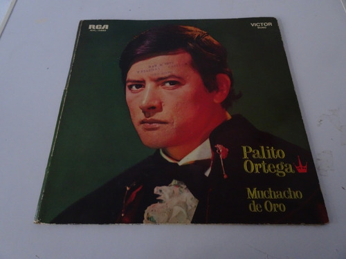 Palito Ortega - Muchacho De Oro - Vinilo Argentino