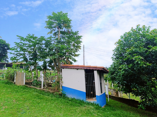 Sítio Completo À Venda Em Santa Isabel/sp 7.500m2 R$950.000