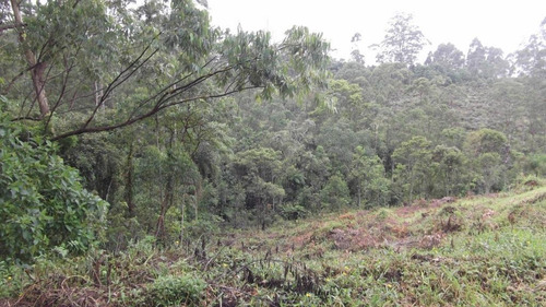 Terreno Em Chácara Recanto Verde, Cotia/sp De 0m² À Venda Por R$ 250.000,00 - Te751436