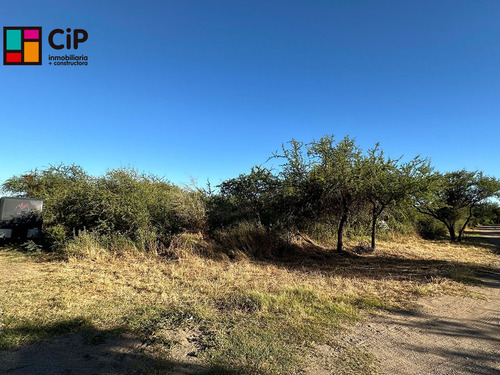 Venta De Lote En Carpinteria Calle El Poleo