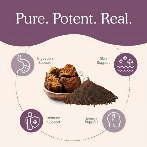 Real Mushrooms Chaga Salud Digestiva 300 Cápsulas Sabor Sin Sabor