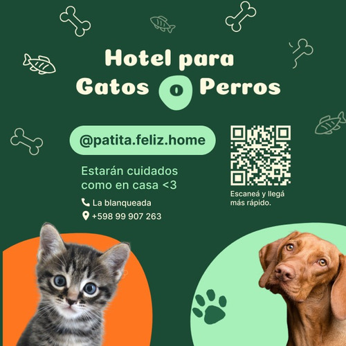 Hotel Para Tu Mascota Perro/gato ( $ 800 Por Día )