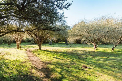 Imagen 18 de 28 de Agrícola En Venta En Zapallar