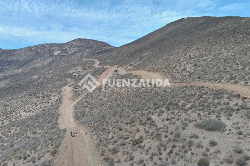 22 Parcelas De 5,000 M2 En Venta El Hinojal,valle De Elqui.
