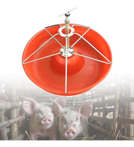 Comededor De Alimentación De Cerdo Redonda, Canal De