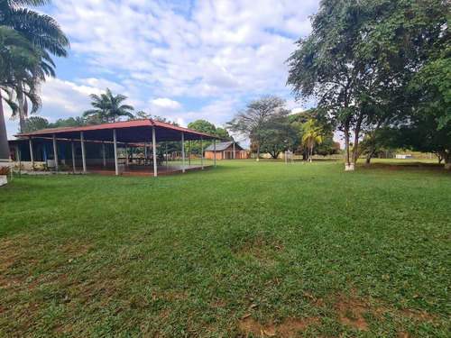 Imagen 9 de 13 de En Venta Finca, En Sabana Del Medio, Barrera