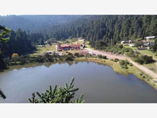Imagen 5 de 12 de Terreno En Venta Mineral Del Monte Centro