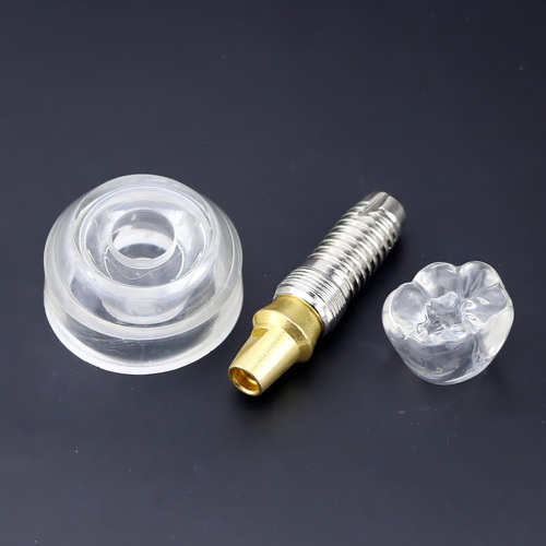 Modelo Dental Para Implantes - Estudio Y Enseñanza #2020 01