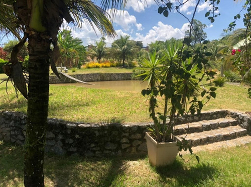 Imagem 19 de 30 de Chácara Em Granjas Mirassol (pachecos), Itaboraí/rj De 10000m² 3 Quartos À Venda Por R$ 990.000,00 - Ch1314298-s
