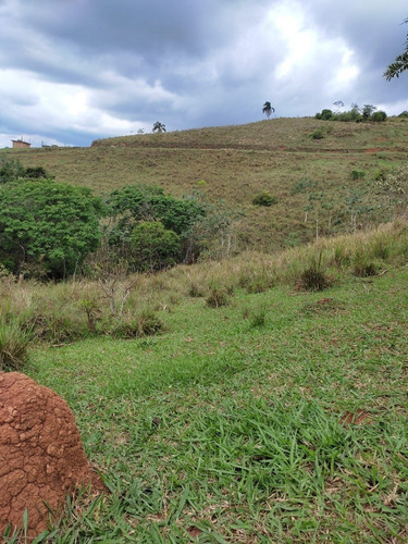 Imagem 17 de 30 de 03o-terreno A Venda Em Igarata