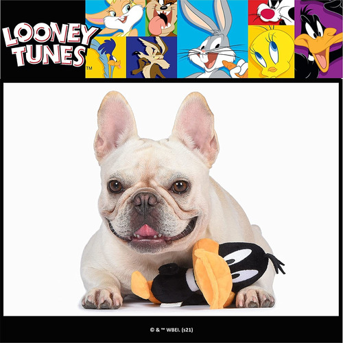 Looney Tunes Warner Bros Toys For Dogs - 6 Inch Or 9 Inch Da