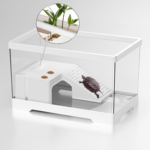 Tanque De Tartaruga, Acessórios Para Habitat Branco Médio