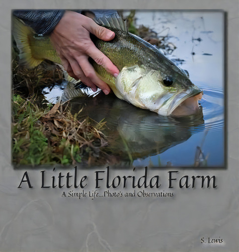 A Little Florida Farm : A Simple Life...photos And Observations, De S Lewis. Editorial Indy Pub, Tapa Dura En Inglés