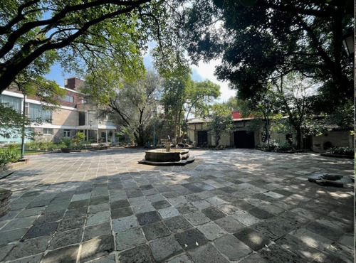 Imagen 14 de 15 de Venta Terreno En Las Flores, Flor De María 5,368m2