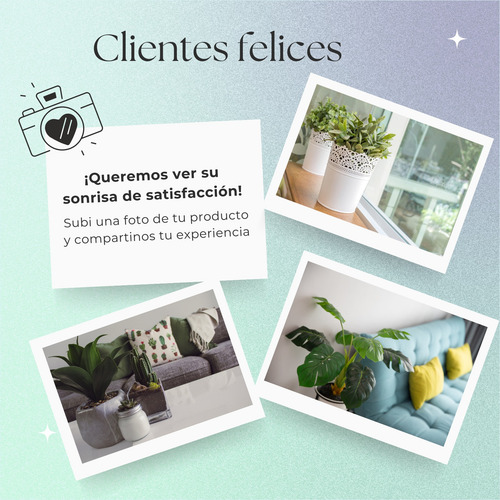 Planta Artificial De Escritorio Con Maceta Cónica + Piedras