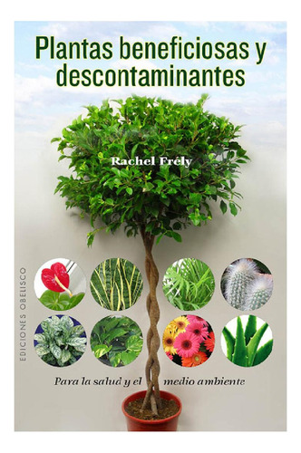 Plantas Beneficiosas Y Descontaminantes