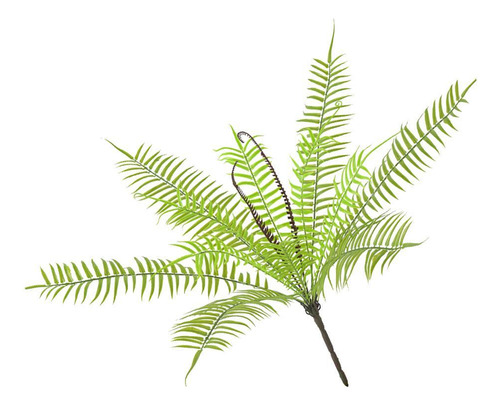 Plantas Artificiales Decoración Floral Hoja Helecho Cycas