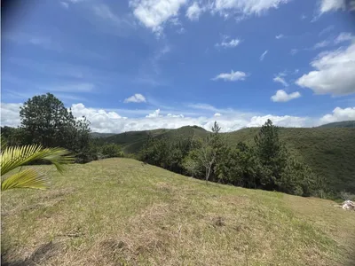 Lote y casalote en venta