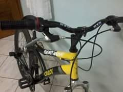 Bike Caloi Max Front