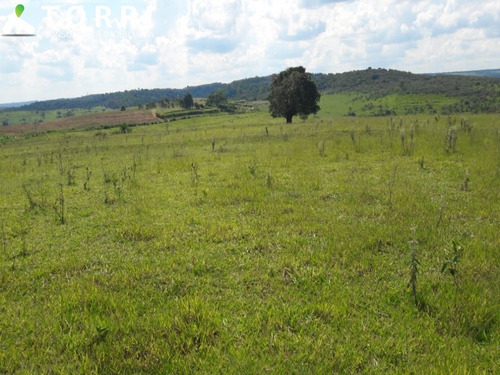 Imagem 13 de 16 de Fazenda À Venda Na Região De Garça - Fa00175 - 69382428