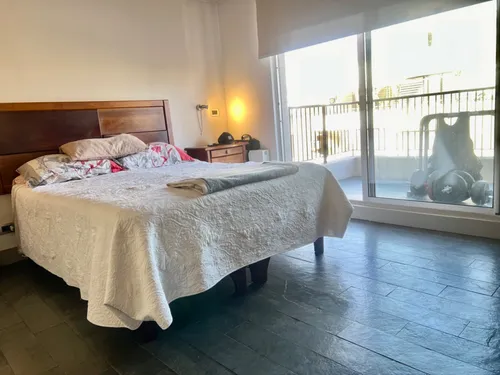 Penthouse 1 Dormitorio 2 Baños Y Azotea En Providencia